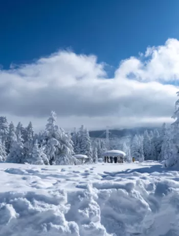 uçaklı uludağ turları